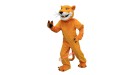 Cougar Mascots
