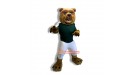 Bear Mascots